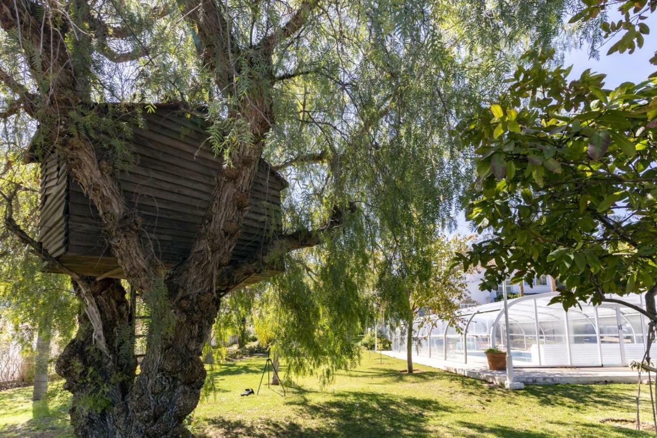 Villa Tocororo En Pinos De Alhaurin Alhaurin de la Torre Bagian luar foto